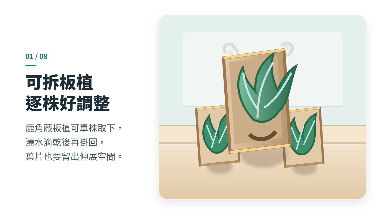 可拆板植 逐株好調整