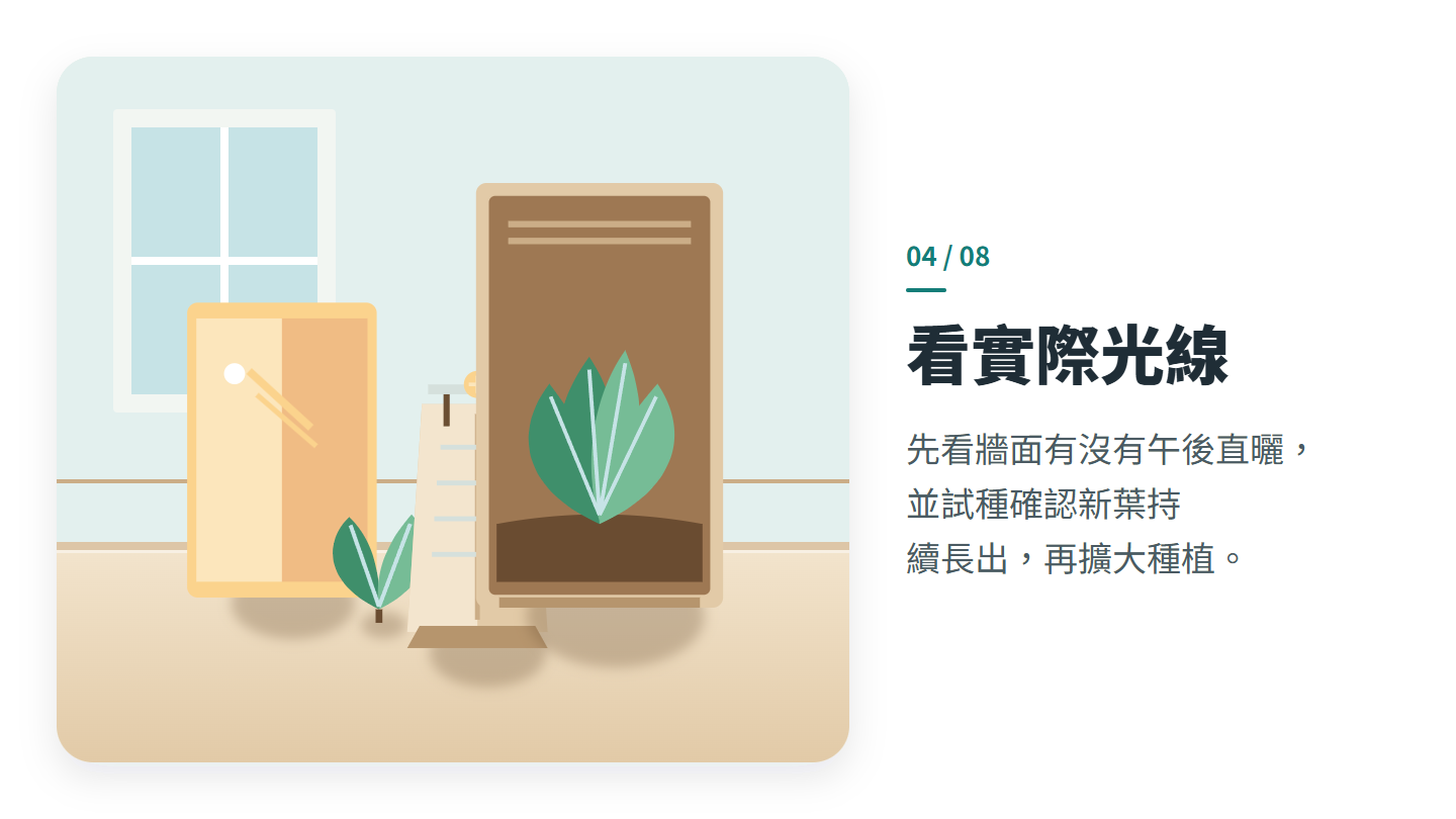 看實際光線