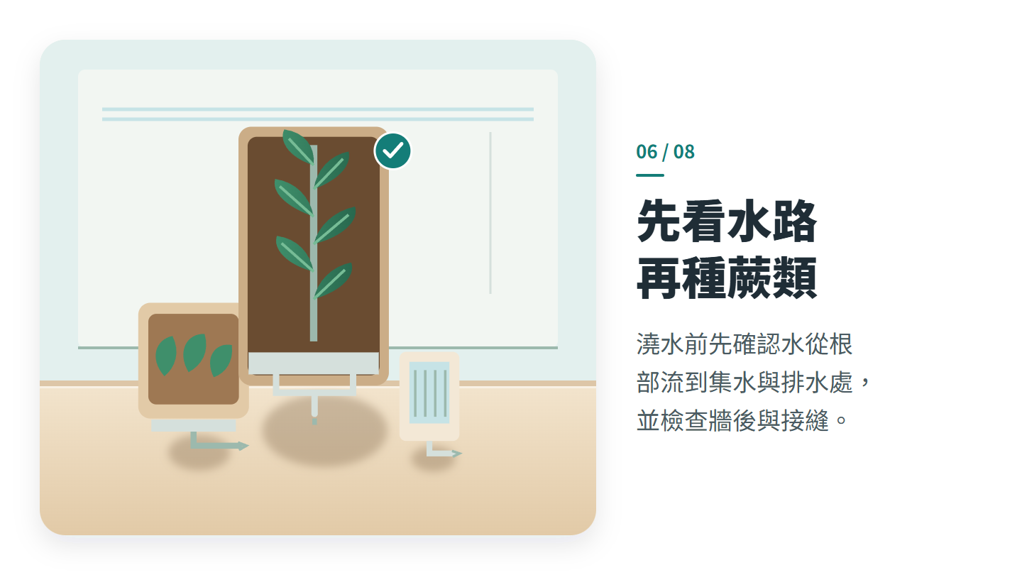 先看水路 再種蕨類