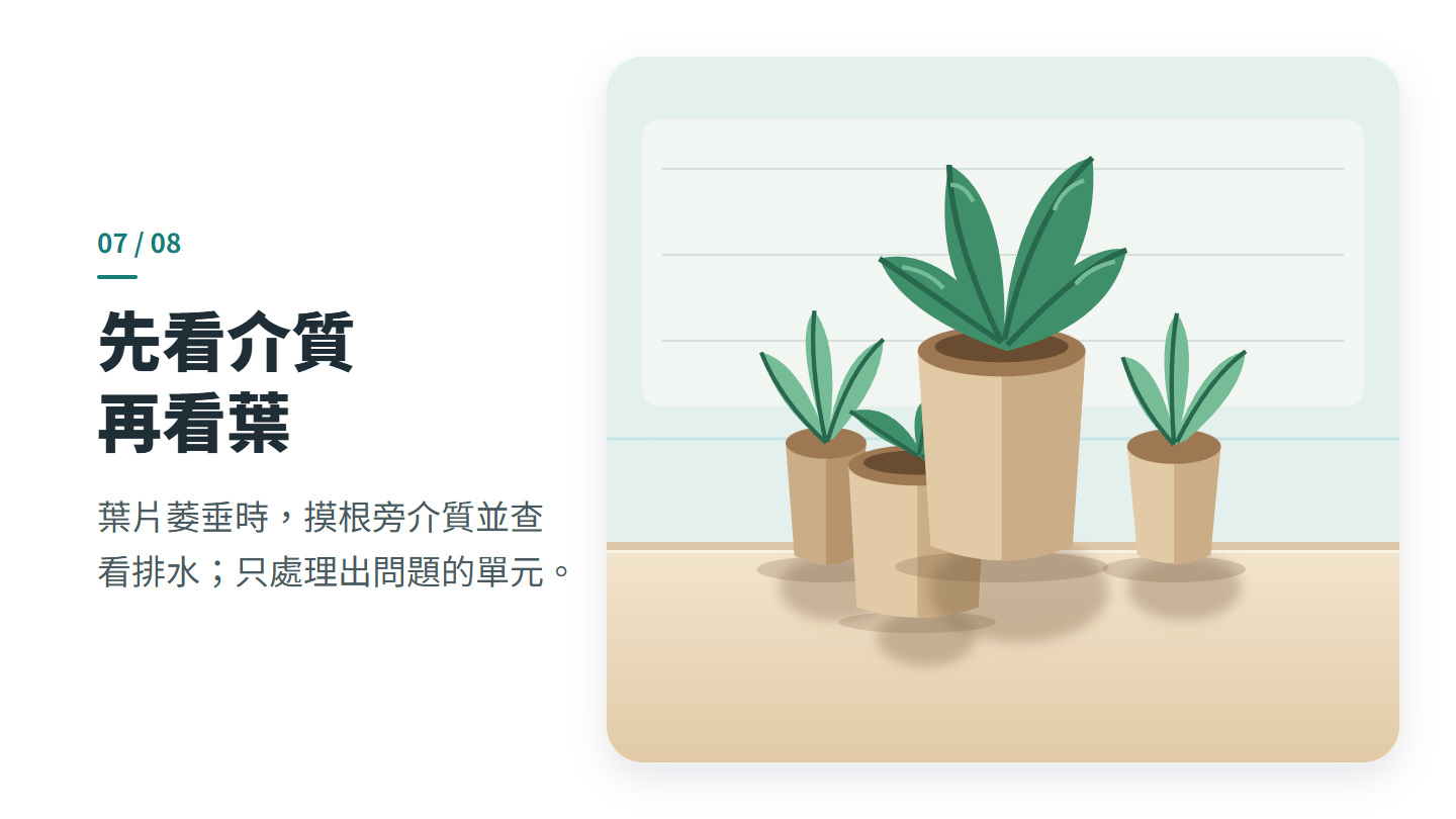 先看介質 再看葉