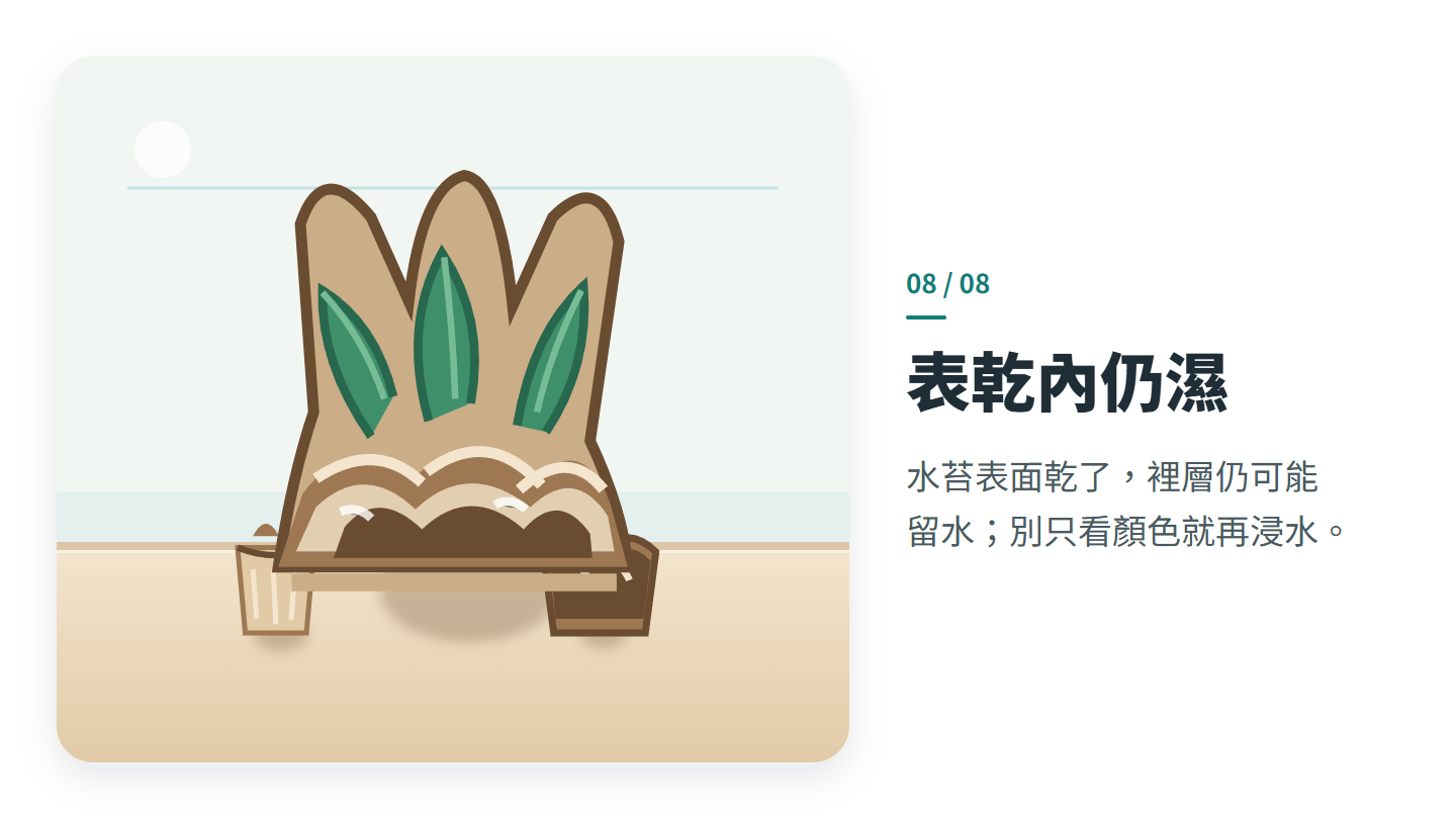 表乾內仍濕