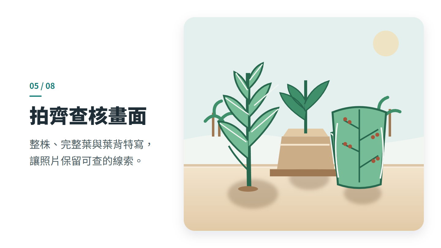 拍齊查核畫面