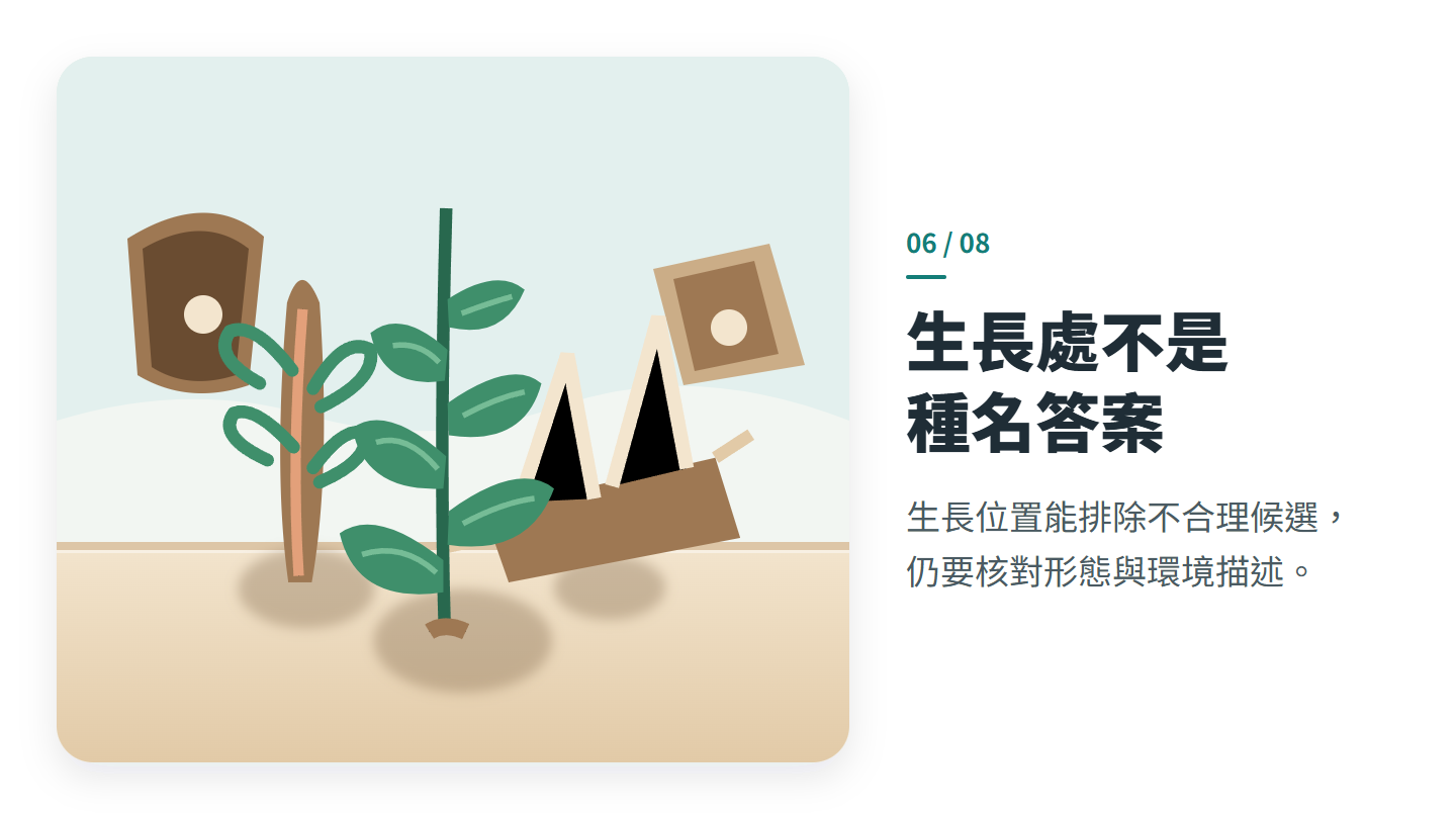 生長處不是 種名答案