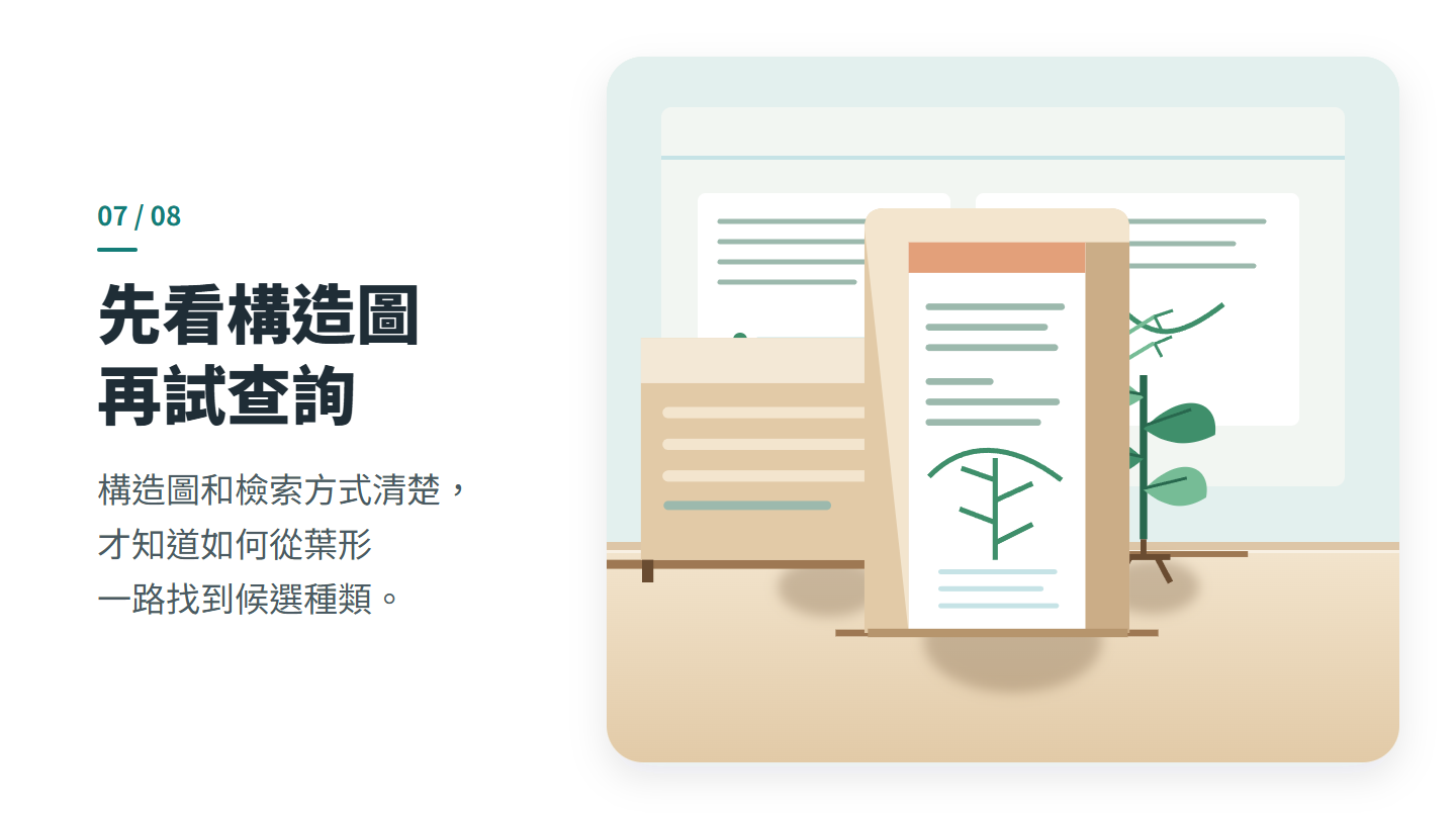 先看構造圖 再試查詢