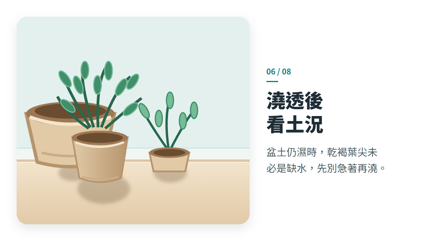 澆透後 看土況