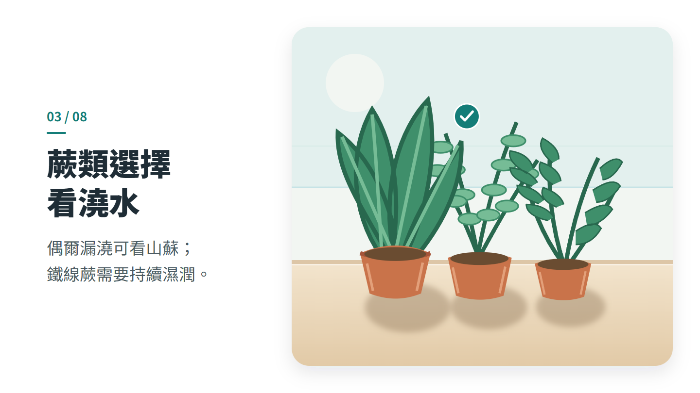 蕨類選擇 看澆水