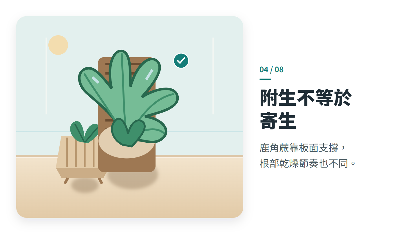 附生不等於 寄生