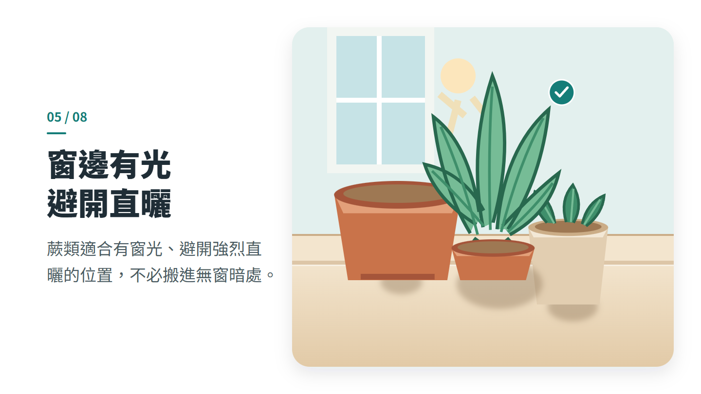 窗邊有光 避開直曬