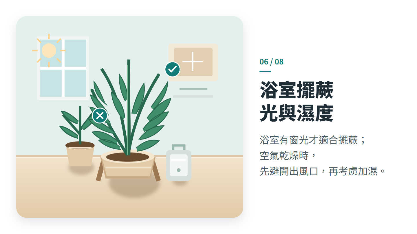 浴室擺蕨 光與濕度