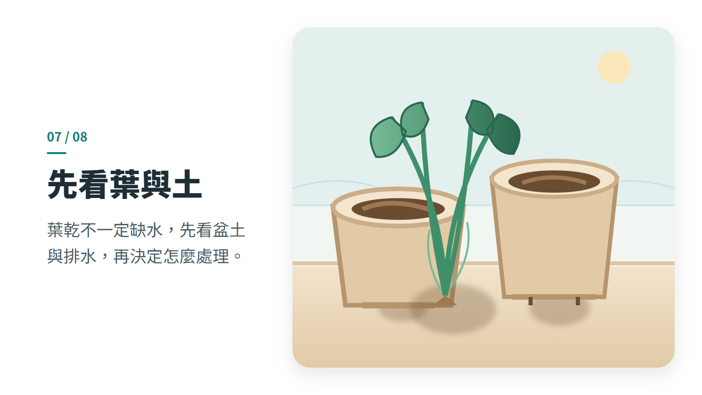先看葉與土