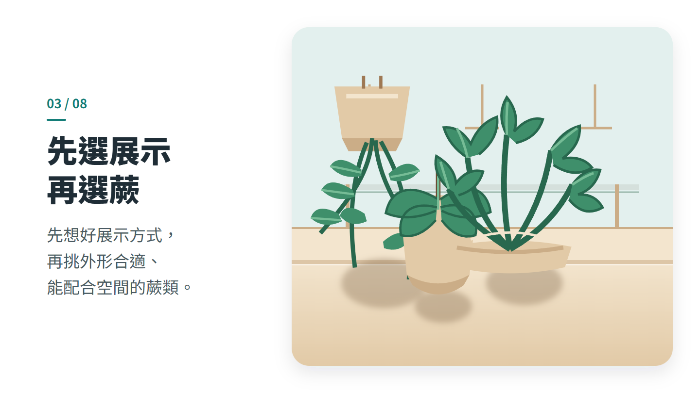 先選展示 再選蕨