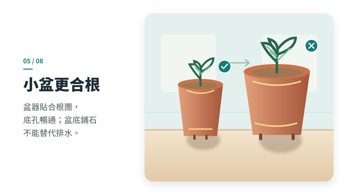 小盆更合根