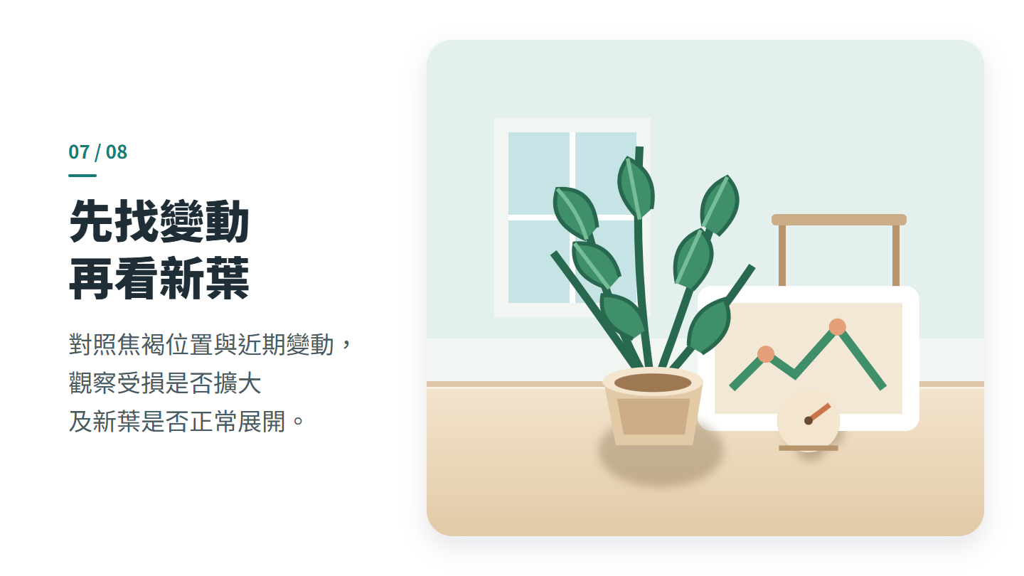 先找變動 再看新葉