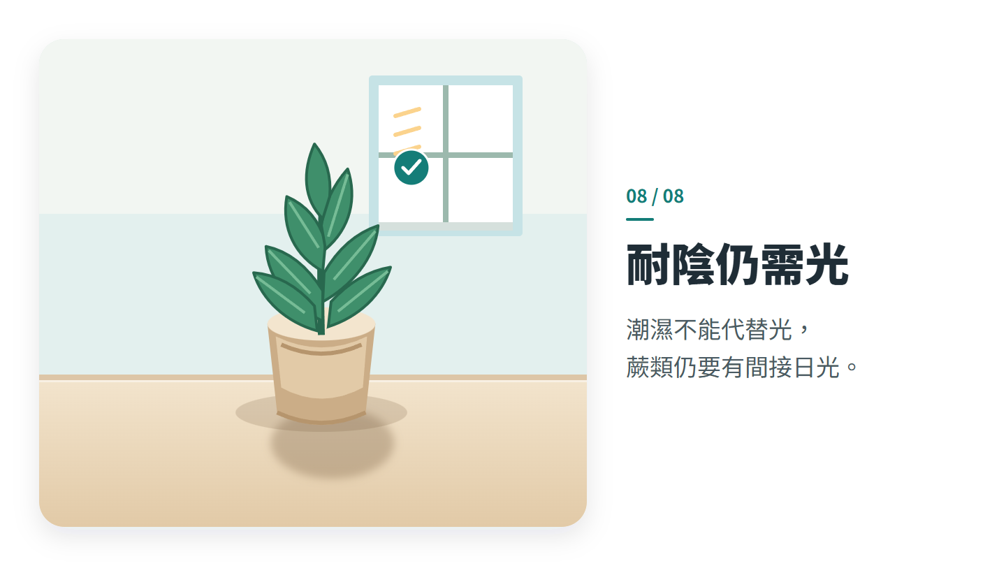 耐陰仍需光