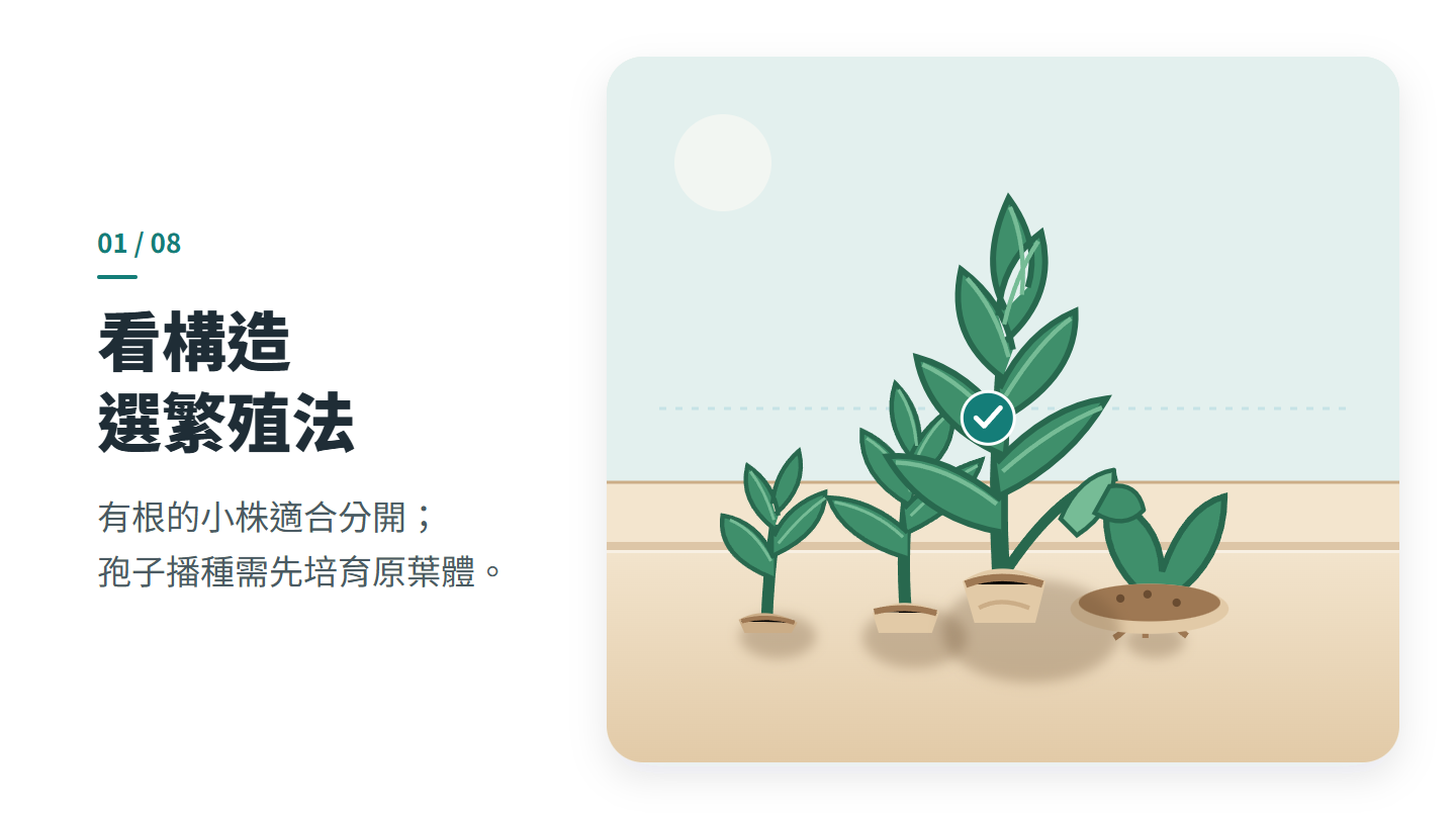 看構造 選繁殖法