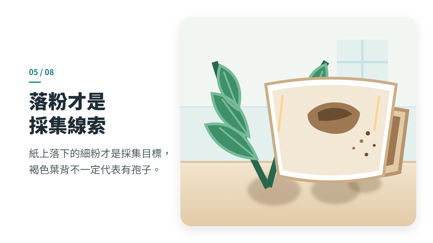 落粉才是 採集線索