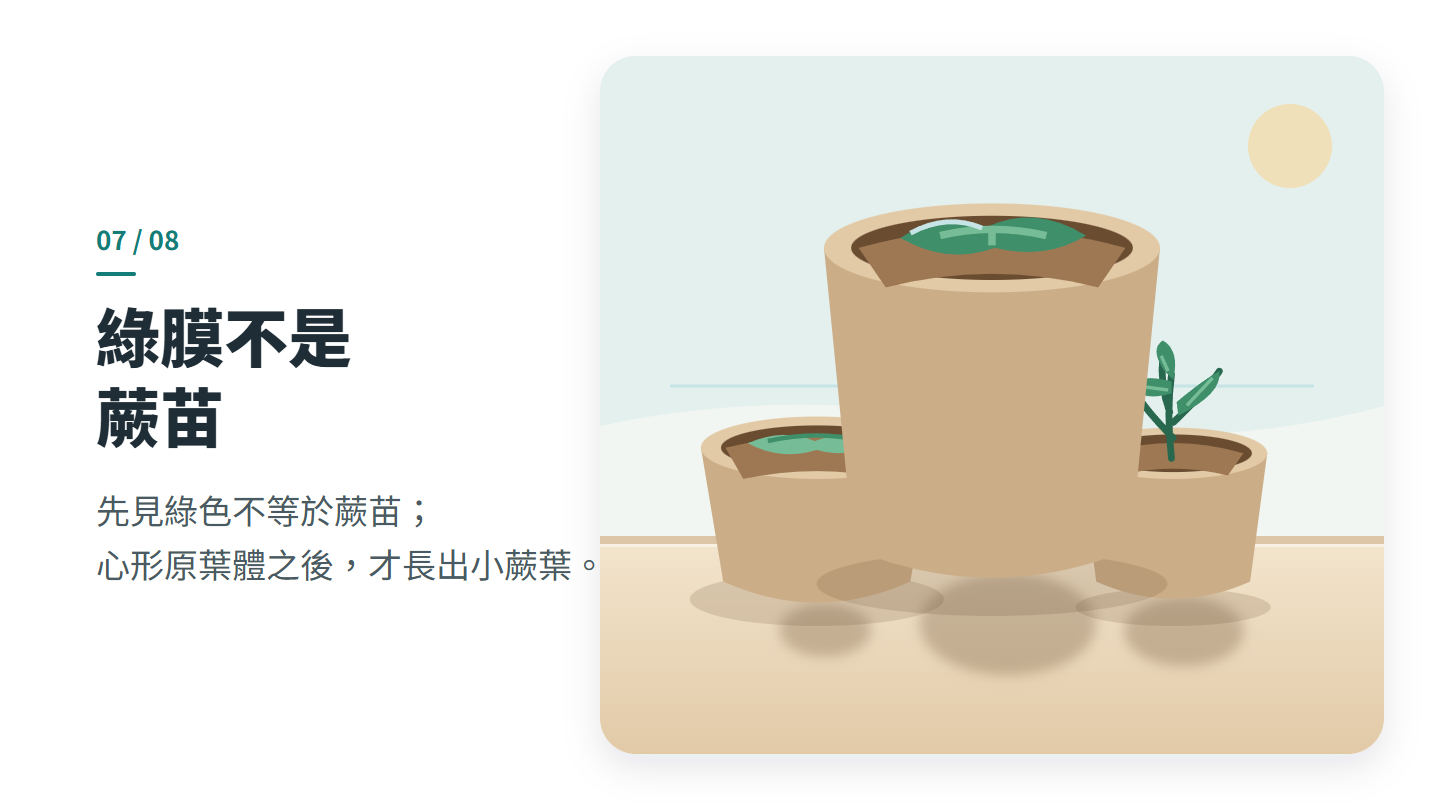 綠膜不是 蕨苗