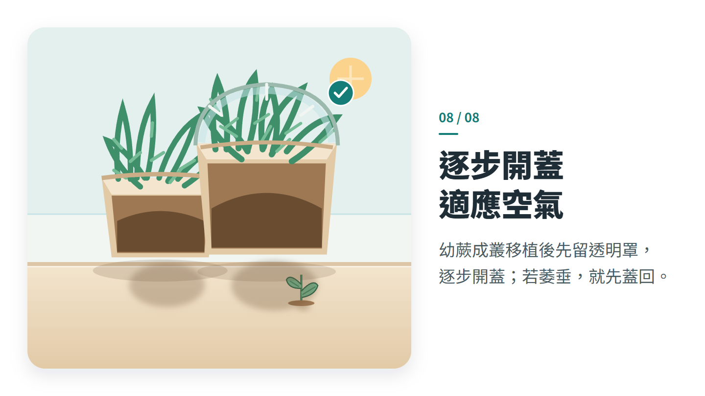 逐步開蓋 適應空氣