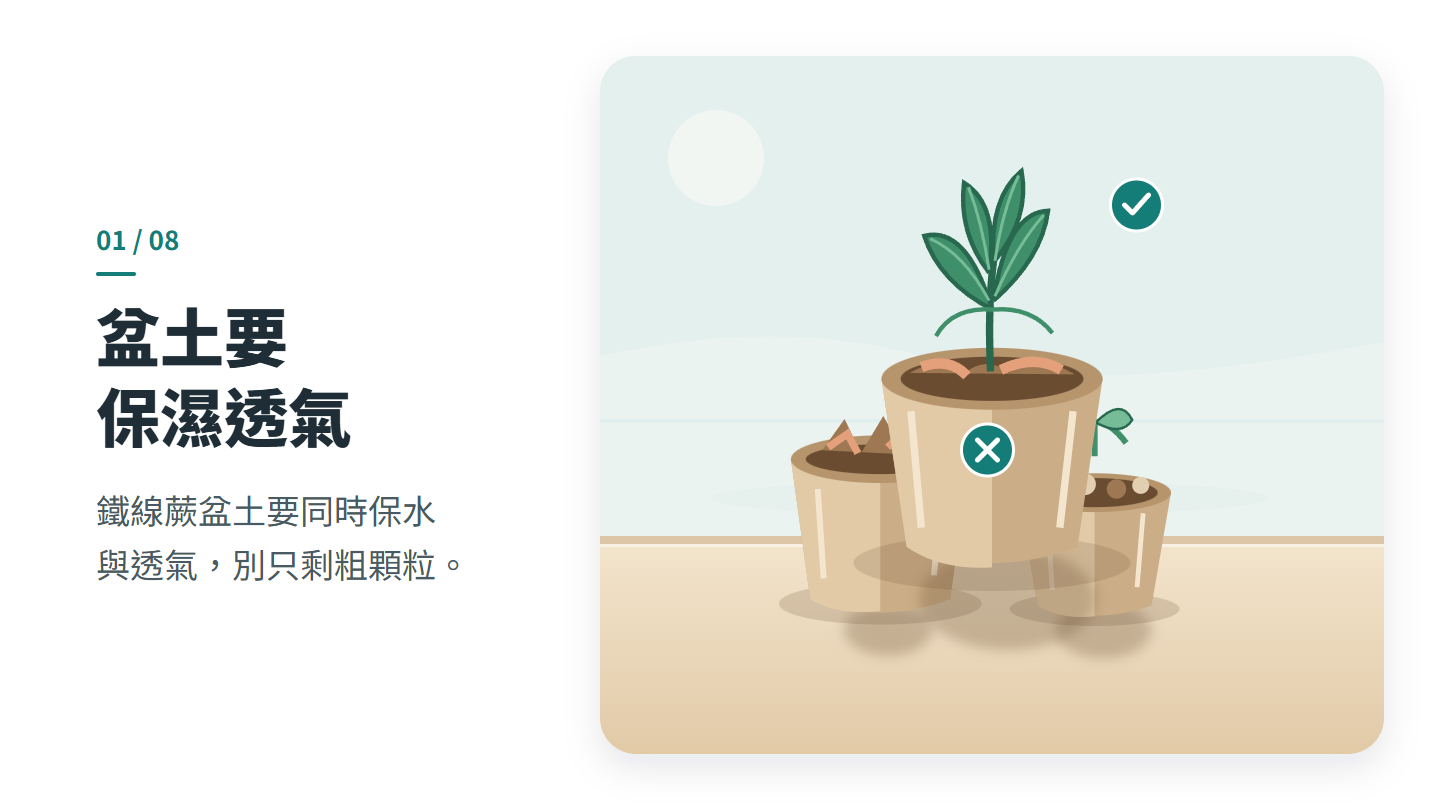 盆土要 保濕透氣