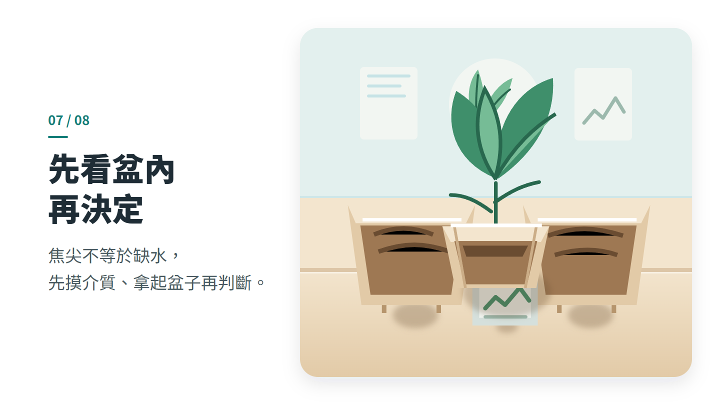 先看盆內 再決定