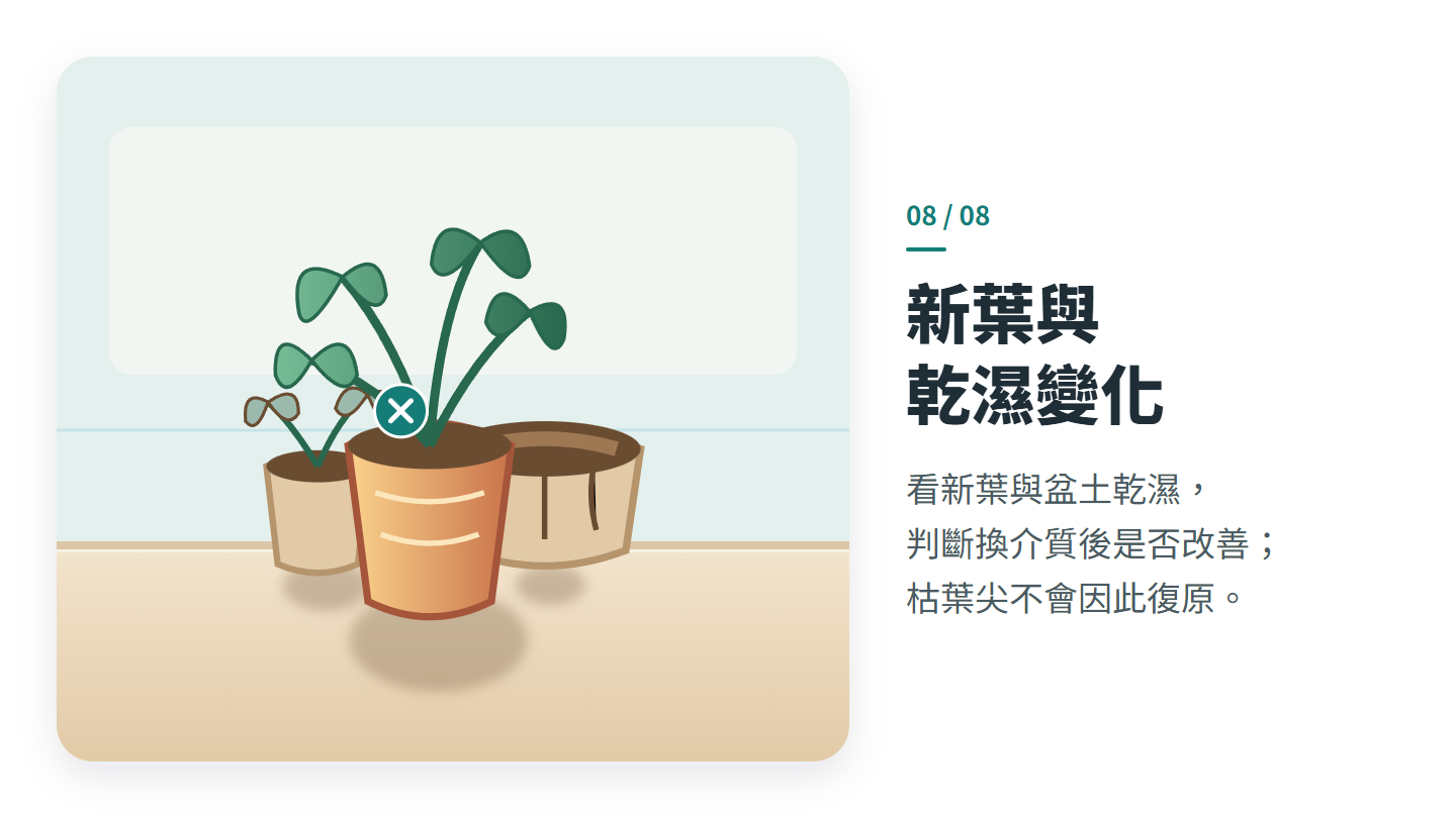 新葉與 乾濕變化