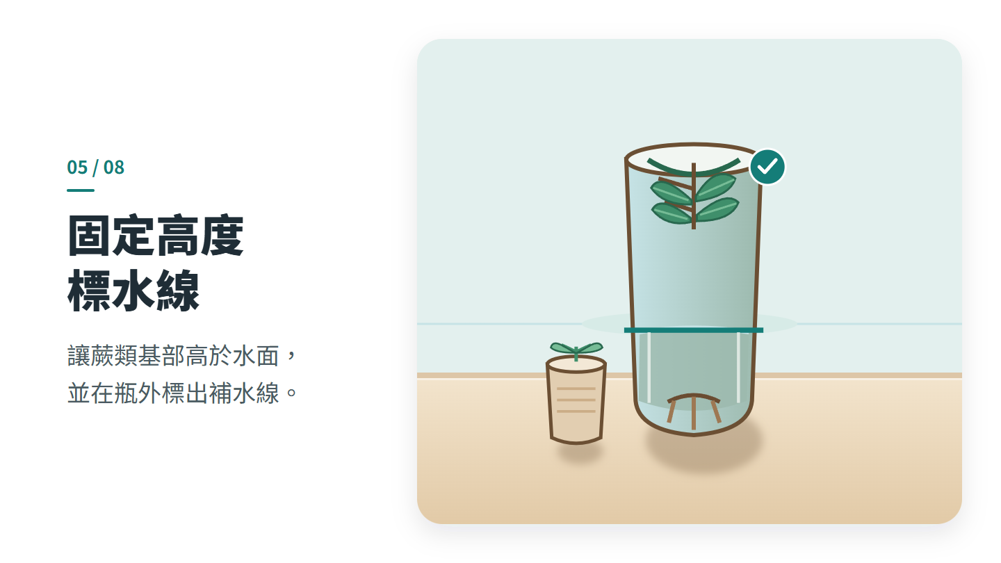 固定高度 標水線