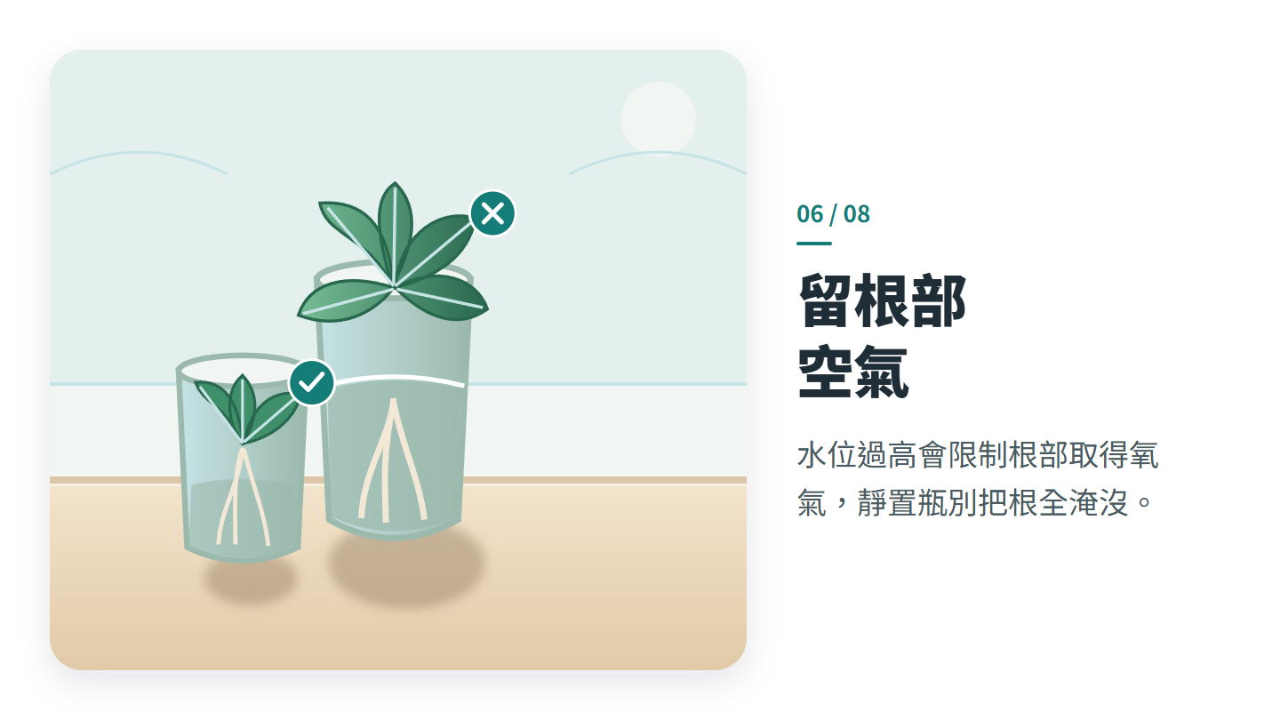 留根部 空氣