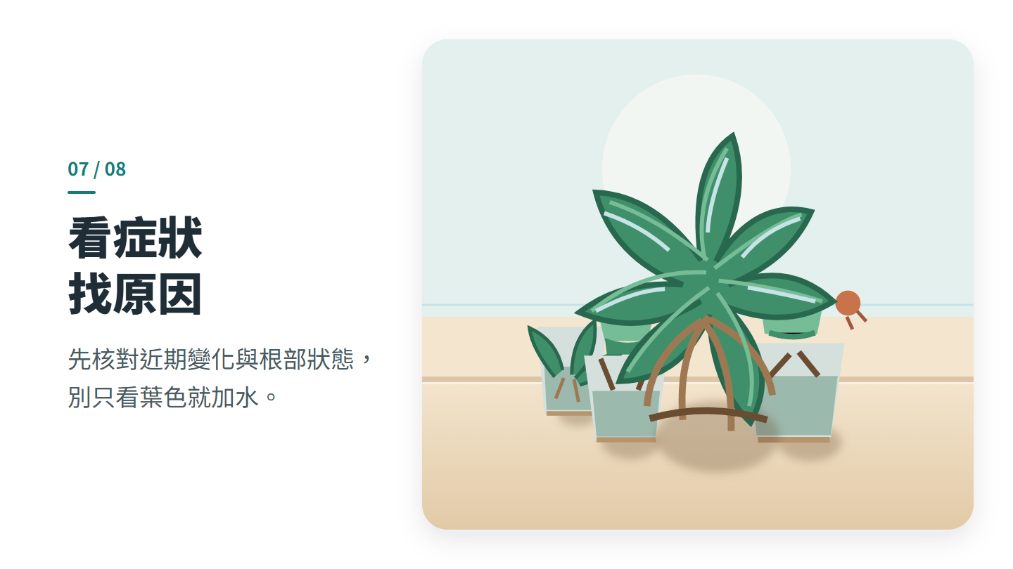 看症狀 找原因