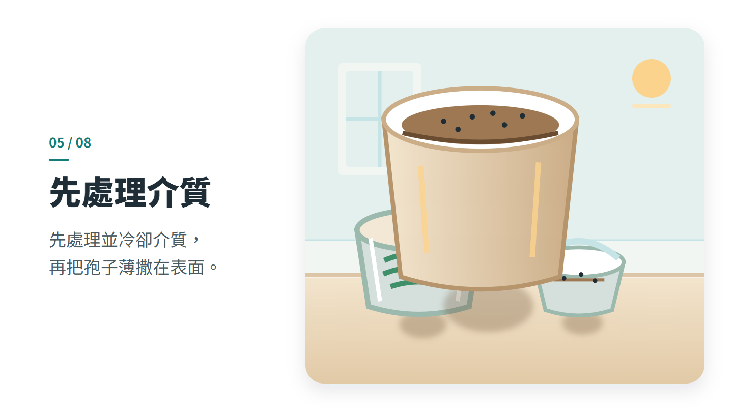 先處理介質