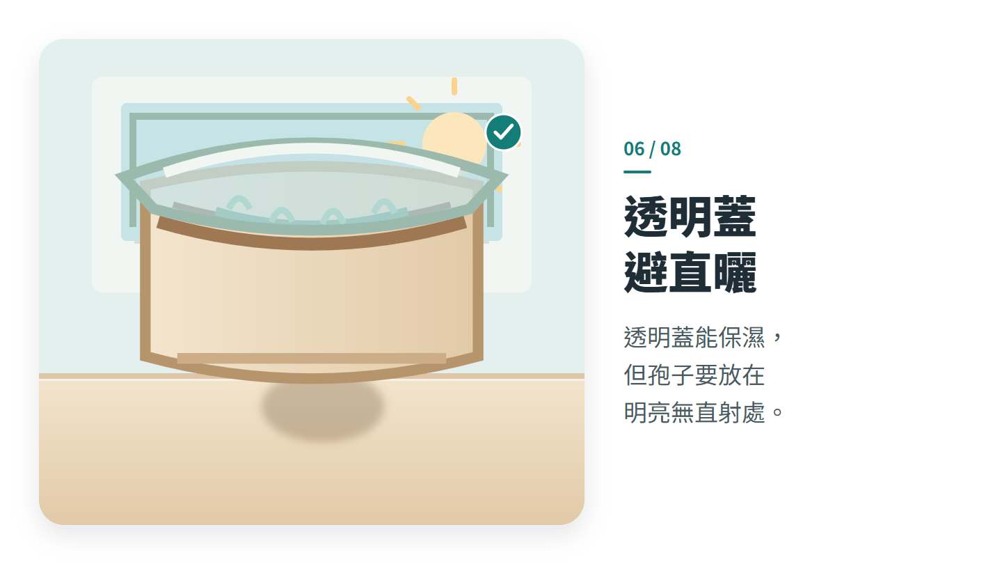 透明蓋 避直曬