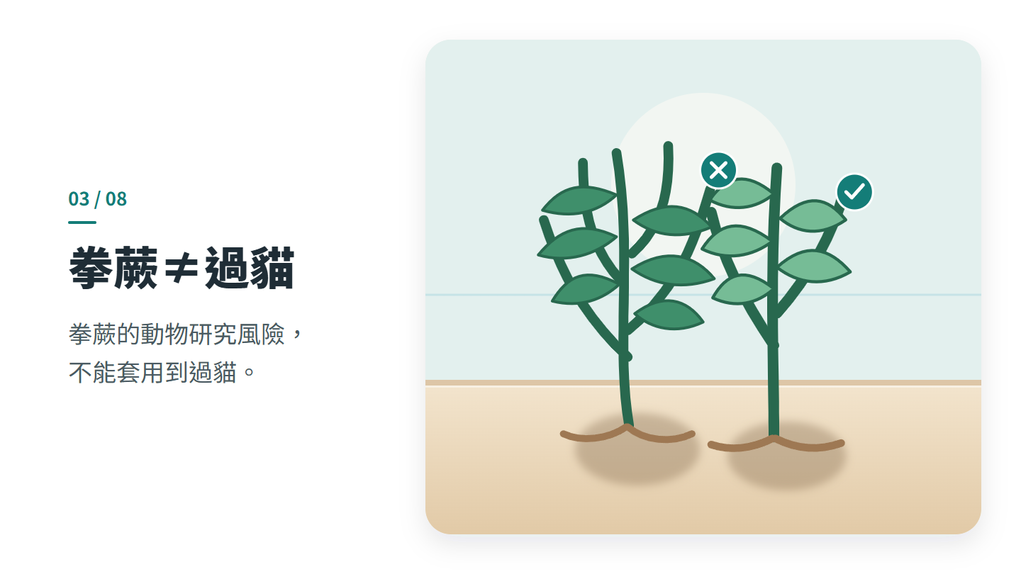 拳蕨≠過貓