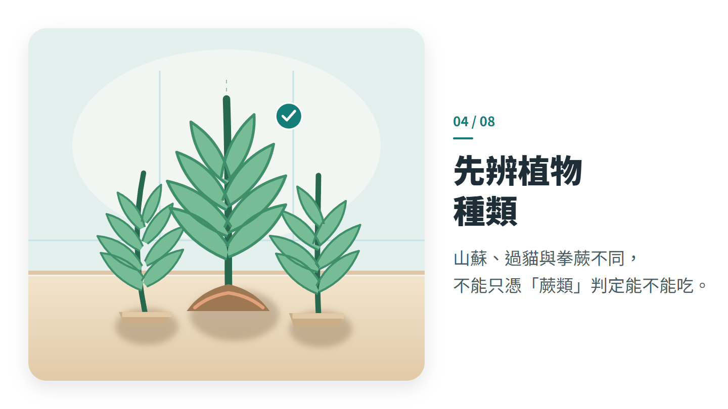 先辨植物 種類