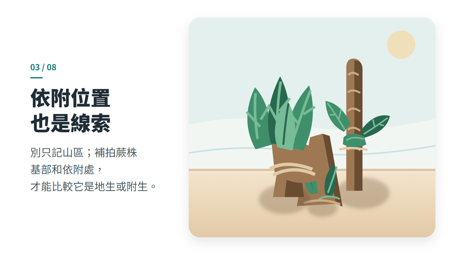 依附位置 也是線索