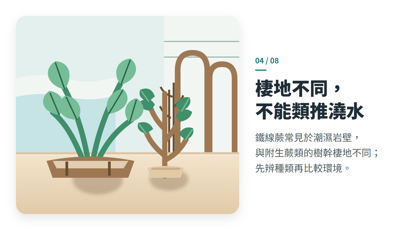 棲地不同， 不能類推澆水