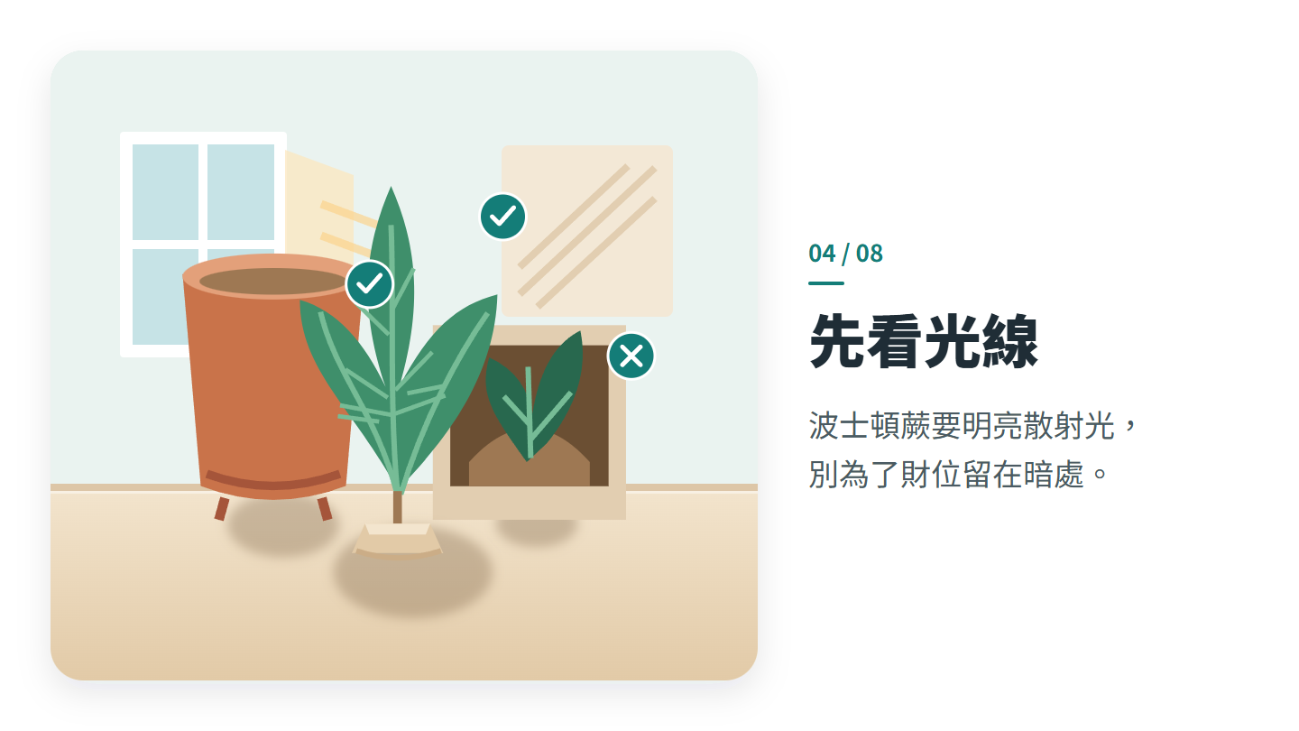 先看光線