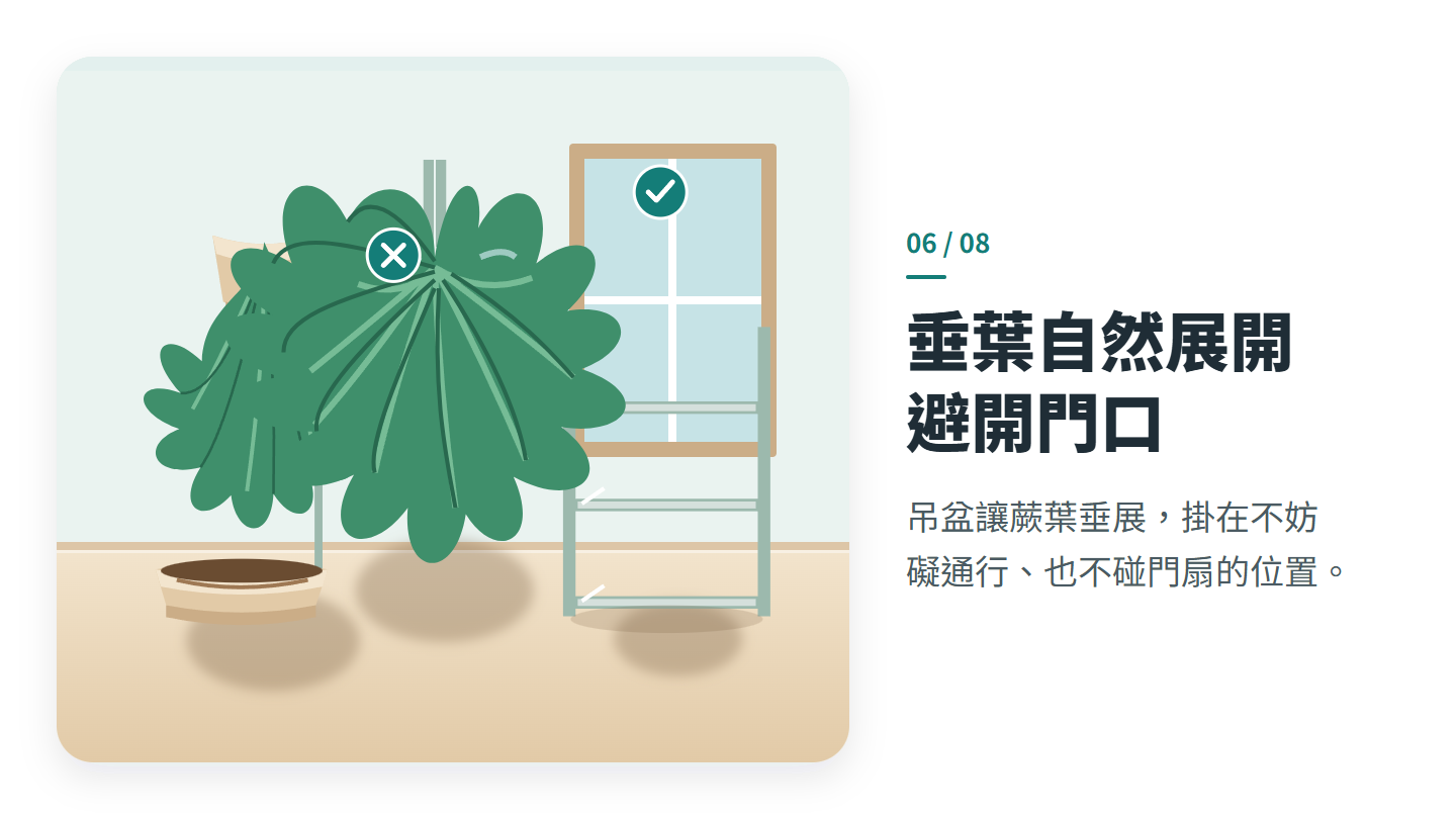 垂葉自然展開 避開門口