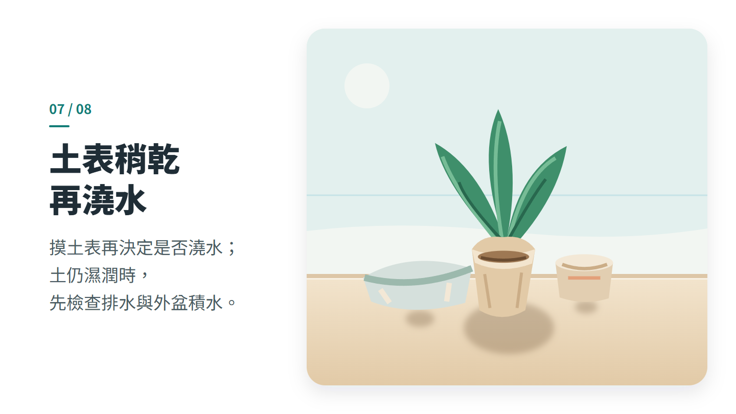 土表稍乾 再澆水