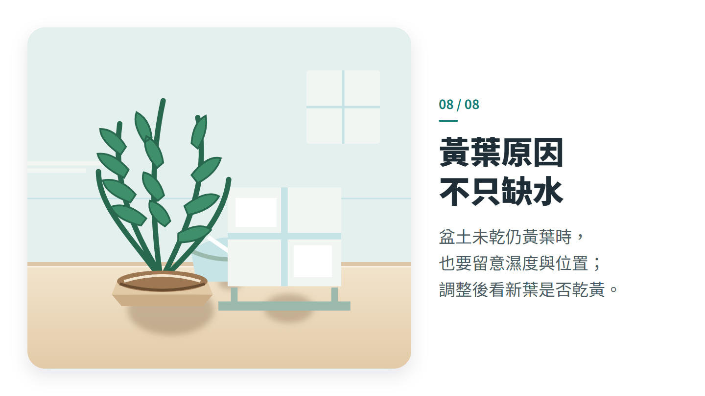黃葉原因 不只缺水