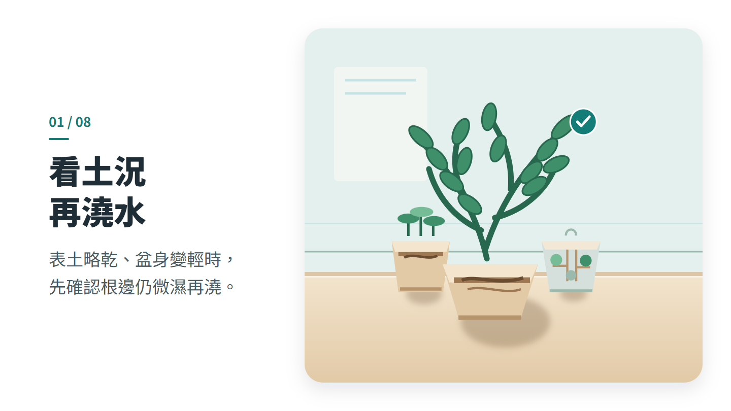 看土況 再澆水