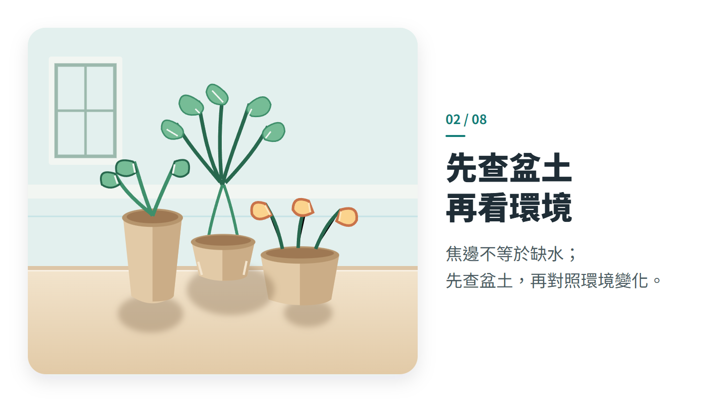 先查盆土 再看環境
