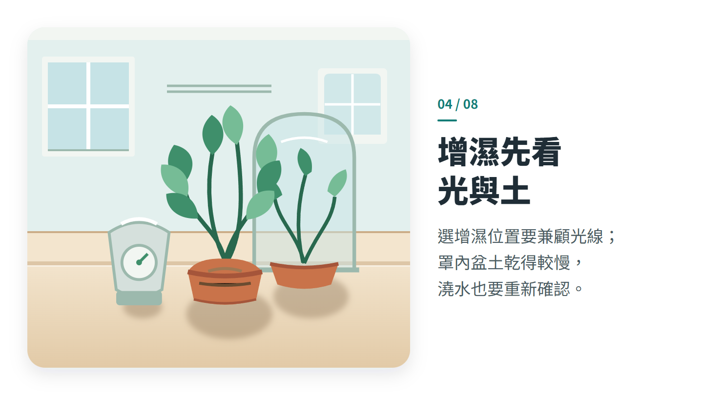 增濕先看 光與土