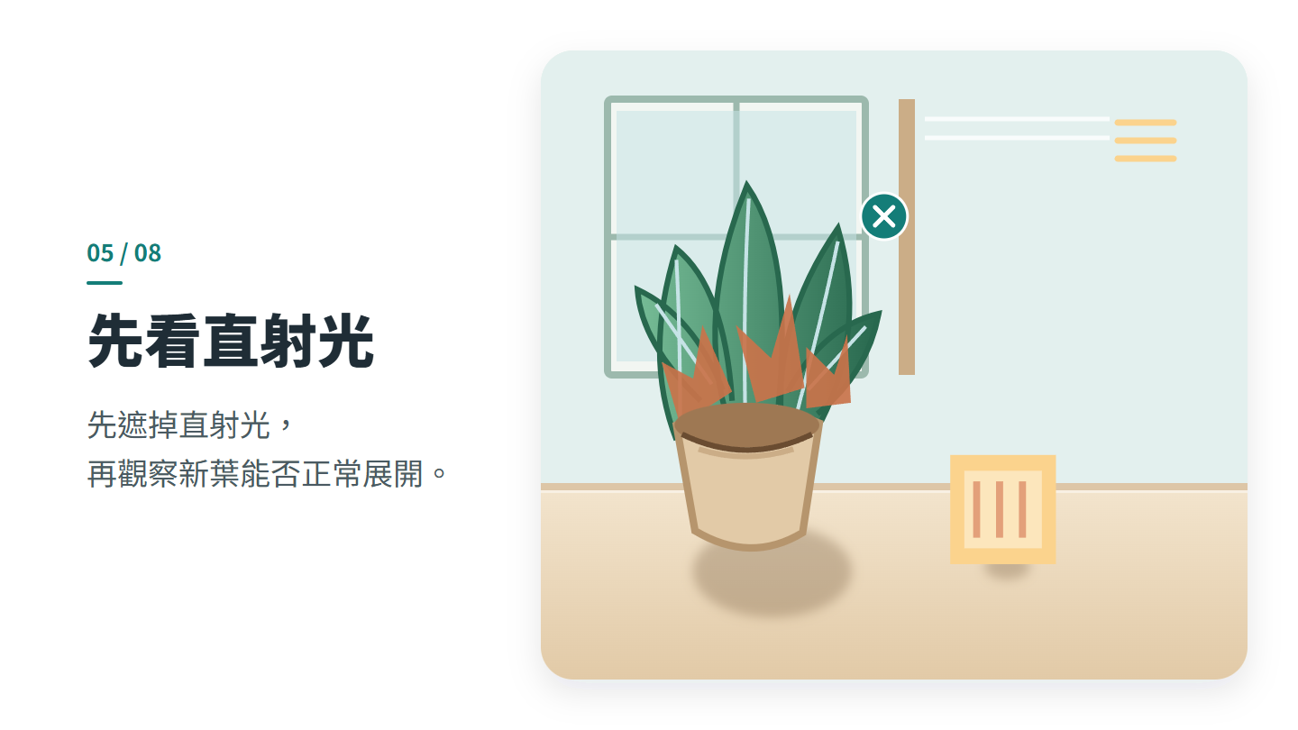 先看直射光