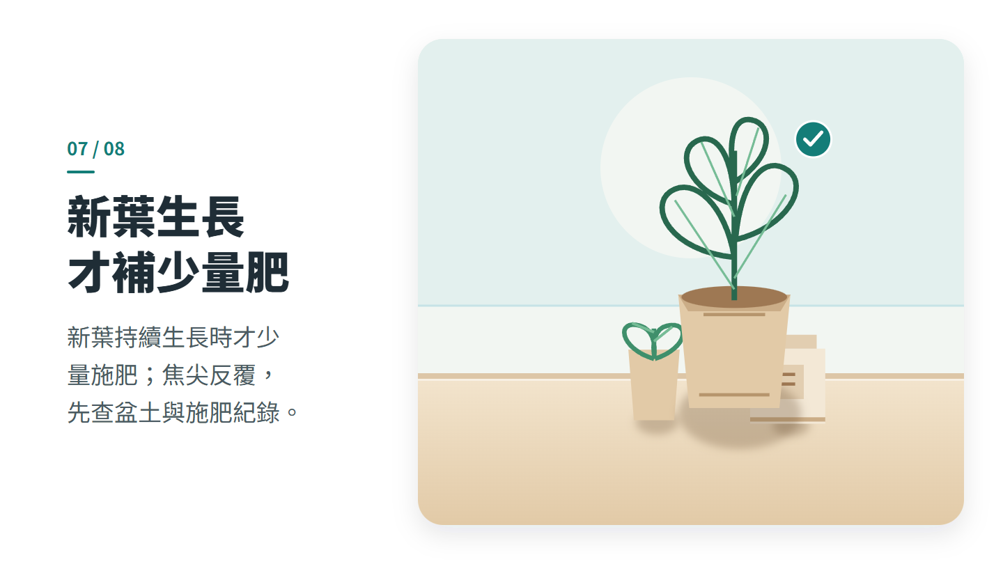 新葉生長 才補少量肥