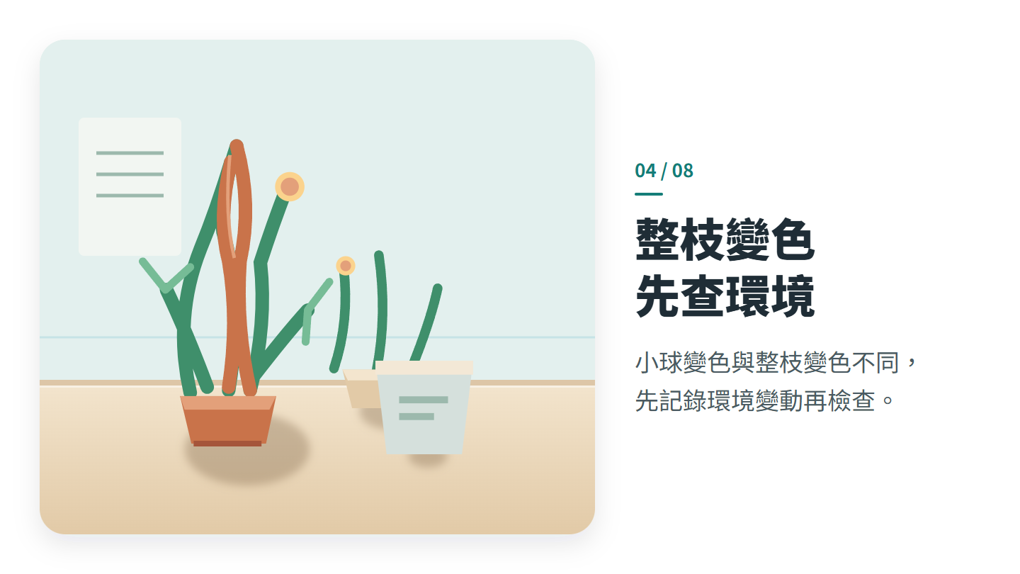 整枝變色 先查環境