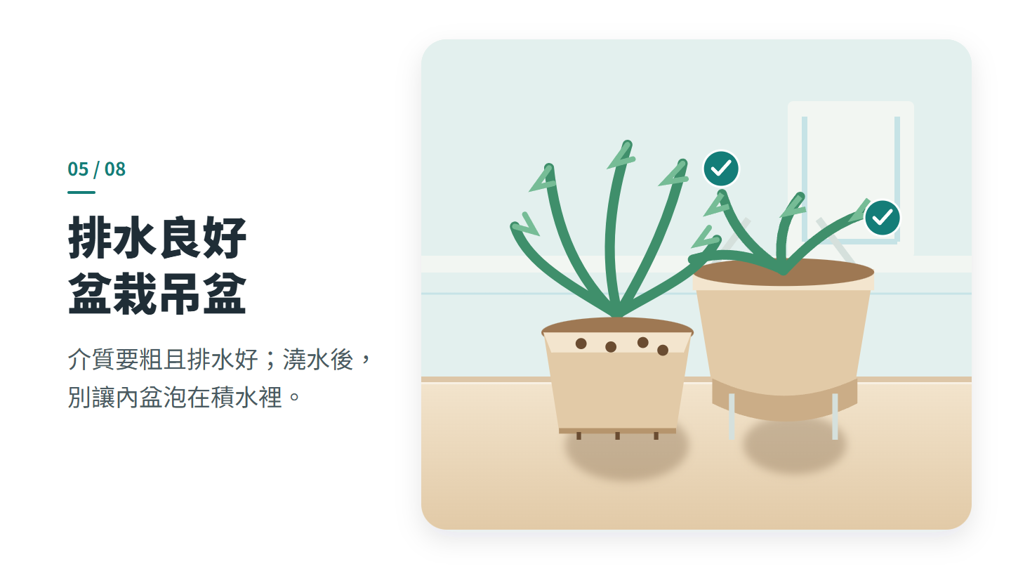 排水良好 盆栽吊盆