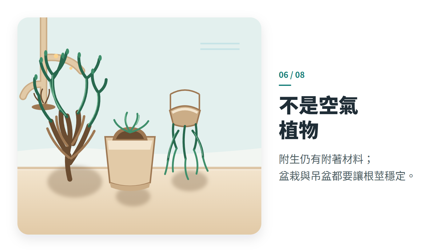 不是空氣 植物