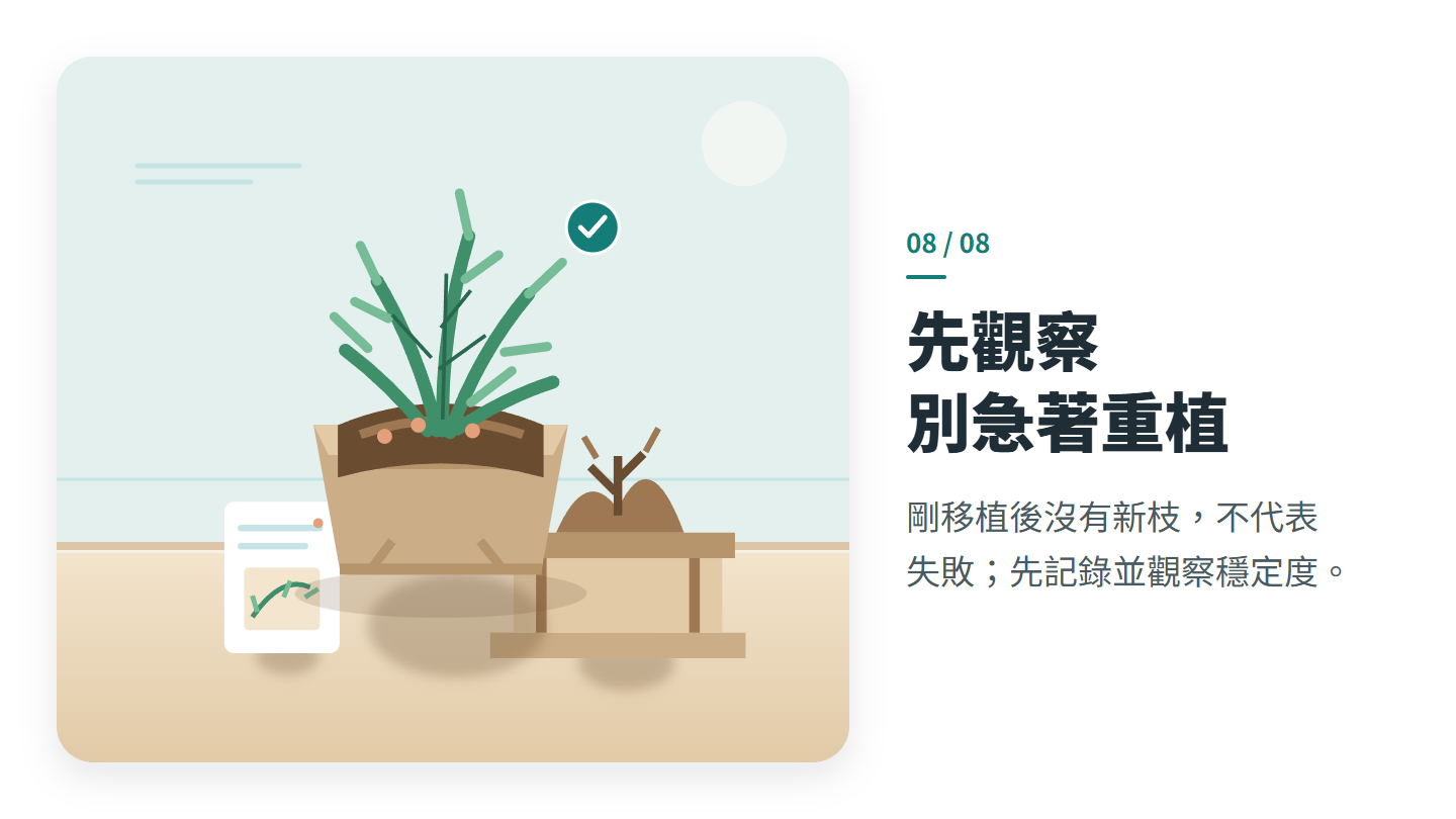 先觀察 別急著重植